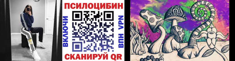 Псилоцибиновые грибы Cubensis Абинск