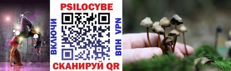 Псилоцибиновые грибы ЛСД  МЕГА онион  Абинск  даркнет сайт 